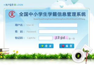 全国中小学生学籍管理系统 信息系统运行维护服务的关键角色与实践路径