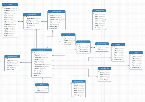 基于SSM框架的非Maven养老院综合服务管理系统运行维护服务解析
