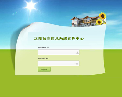 辽阳杨春丨辽阳大乘实业网站制作及信息系统运行维护服务项目需求分享
