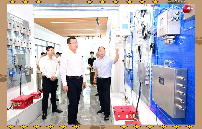 详细了解了该公司在信息系统咨询设计,软件研发,系统集成及运行维护等